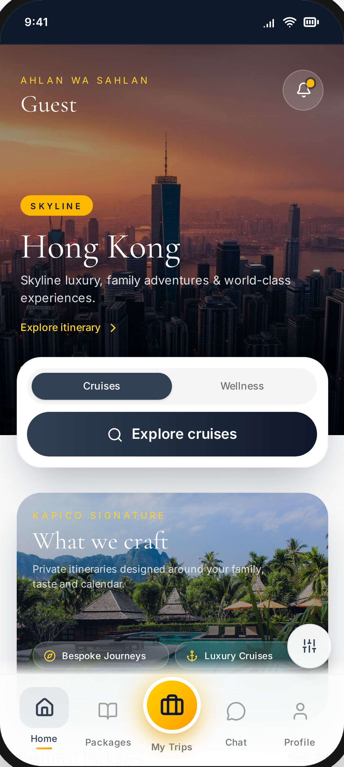 KAPICO mobile app home screen preview